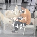나눔의 쉼터 사랑더하기봉사단 | [울산유기동물봉사활동] 32번째 이야기 더함쉼터/산책 및 놀이봉사활동 진행한 이야기