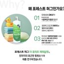 허그퍼피 | 포레스트허그 더 퓨리프 퍼피 샴푸 후기｜저자극 강아지샴푸로 강아지 냄새 완전 제거!