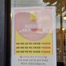 몰리헤어인천