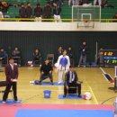 엘리트 태권스쿨 Daum카페