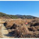 경남고성부동산 대가면 탁트인 전망의 토지 전원주택지매매 728제곱미터 (220) 이미지