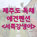 서쪽강생이 이미지