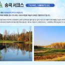 서정골프