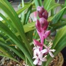 길상초등학교 이미지