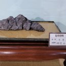 항구회관 이미지