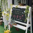 힐링파티쉐 이미지