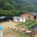 보은삼가대추농원 이미지