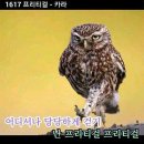 부엉이노래방
