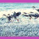 심중로68번길 | 이사 후 물건 정리하고 공간 절약하기