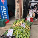 과일야채불티나