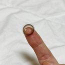 오아시스안경위드렌즈 창원상남점 | 오아시스안경 위드렌즈 창원상남점 뉴트럴 무드 원데이 브라운