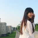 시나sina