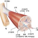 (1:1레슨)테라피 요가(60분) | 해운대필라테스)피로를 풀어주는 ‘아로마근막테라피’ 3:1 소그룹레슨 신규모집