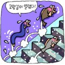 고깃길