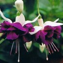 구암동112 이미지