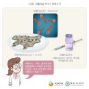 보톡스{botulinum toxin therapy}﻿ 이미지