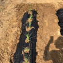 서수원농자재마트 이미지