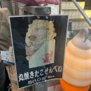 에노시마에 왔다면 꼭 먹어봐야하는 먹부림 타코센베이