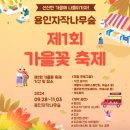 [용인/처인구]베툴라(자작나무숲카페)