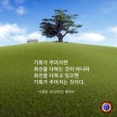 남원지리산공인중개사사무소 | 남원시 산내면 덕동리 지리산 감나무골펜션 매매 3억 7천만원