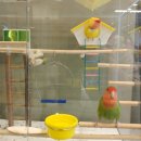 아이앤안경 이미지