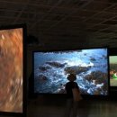 제인이화 이미지