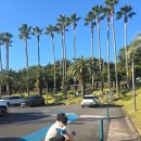 광해수산 | 소노캄제주 스위트프리미어 스탠다드 더블 취사룸 내돈내산 후기