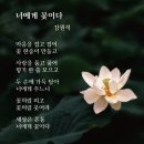 너에게꽃이다