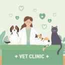 청사동물메디컬센타 이미지