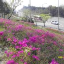 비음산 구름다리입구 이미지