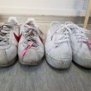 베스트운동화세탁 세교점 이미지