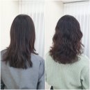 김포 사우동 미용실 안녕헤어 탱글한 중단발 젤리펌 후기