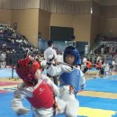 태사모 태권도 아카데미 이미지