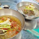 하남회관 | 미사냉면 하남냉면 점심맛집 고속회관본점 솔직후기