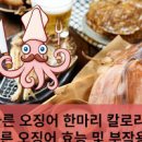 마른 오징어 칼로리 갑오징어 고르는법 영양성분 이미지