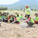 이창재 농장 이미지