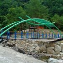 국립황정산자연휴양림캠핑장 이미지