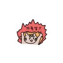 준앤준 이미지