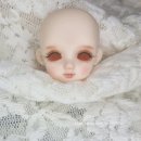 유)파파야 이미지