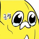 카페무수