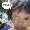 클레이조형미술아이꿈터 | [어린이집 답례품] 흔한 구디백은 질려서,, 🧒조카 바보 이모의 특별한 '꾸르펫토리' 구디백 내돈내산 후기🎁
