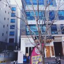 디어민제이 | 별내네일 가을네일 심플화려하게 디어민제이