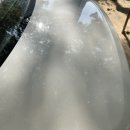 털보손세차장 이미지