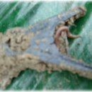 호암농장 이미지