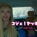 야호