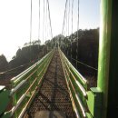 청량산유림길 이미지