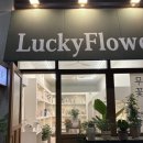 24시꽃집럭키플라워