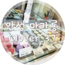 클로버. (clover)37 | [안성 공도마카롱] 진짜맛있는 마카롱 클로버.37
