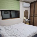 개미펜션 이미지