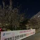 보정지구대 | 2026 여의도 벚꽃 현황 4.7(화) 야간 다녀 온 후기, 지금 가도 괜찮을까? 사진 찍기 좋은 곳은?